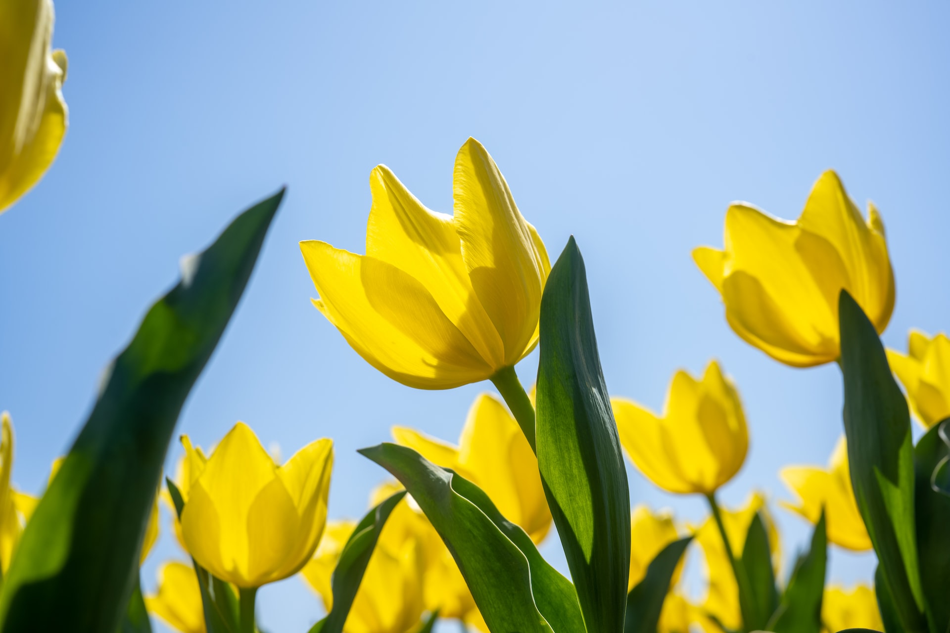 The Poetry of Spring: How the spring equinox inspires growth and new