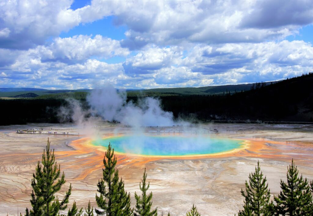 Artificial Intelligence models can be explored on new ecosystems altogether such as hot springs.