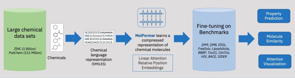MoLFormer Foundation Model