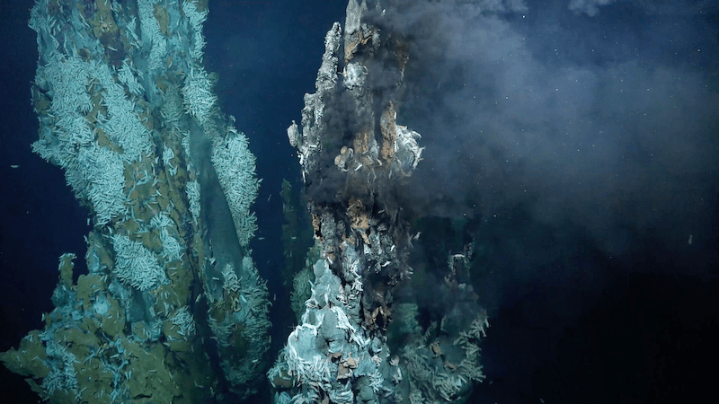 Life on Earth is proposed to have emerged in deep-sea hydrothermal vents.