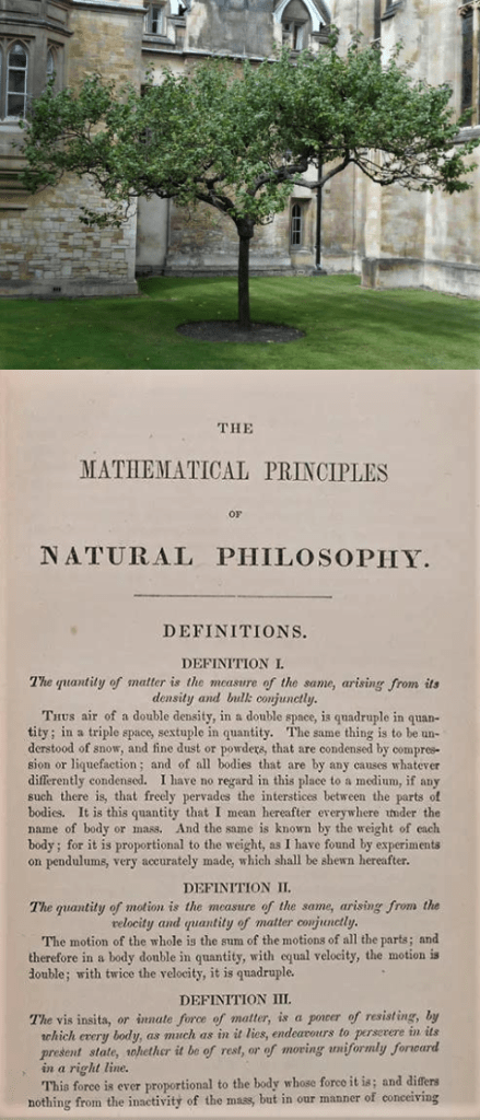 Newton - Sapling and Principia
