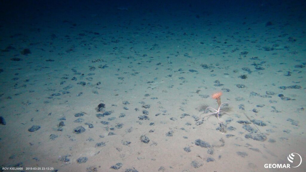 Seabed image captured by a marine expedition. Oxygen is being produced at the seafloor according to a recent study.