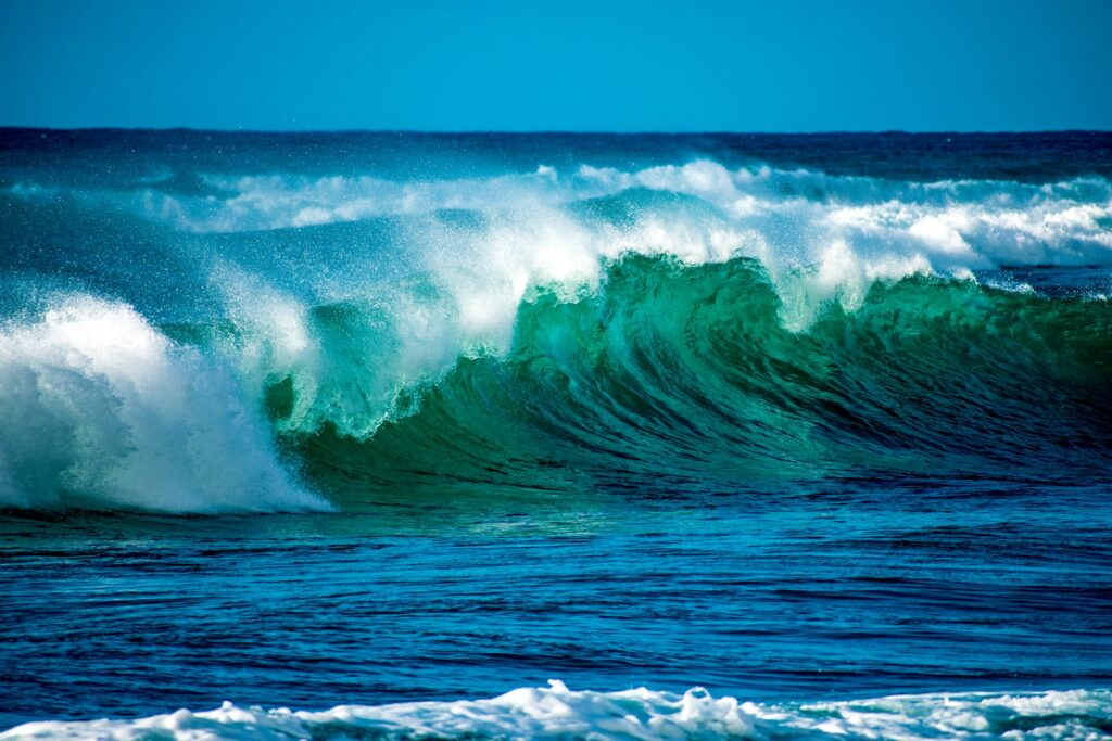 Ocean's surface produce around half of Earth's oxygen.